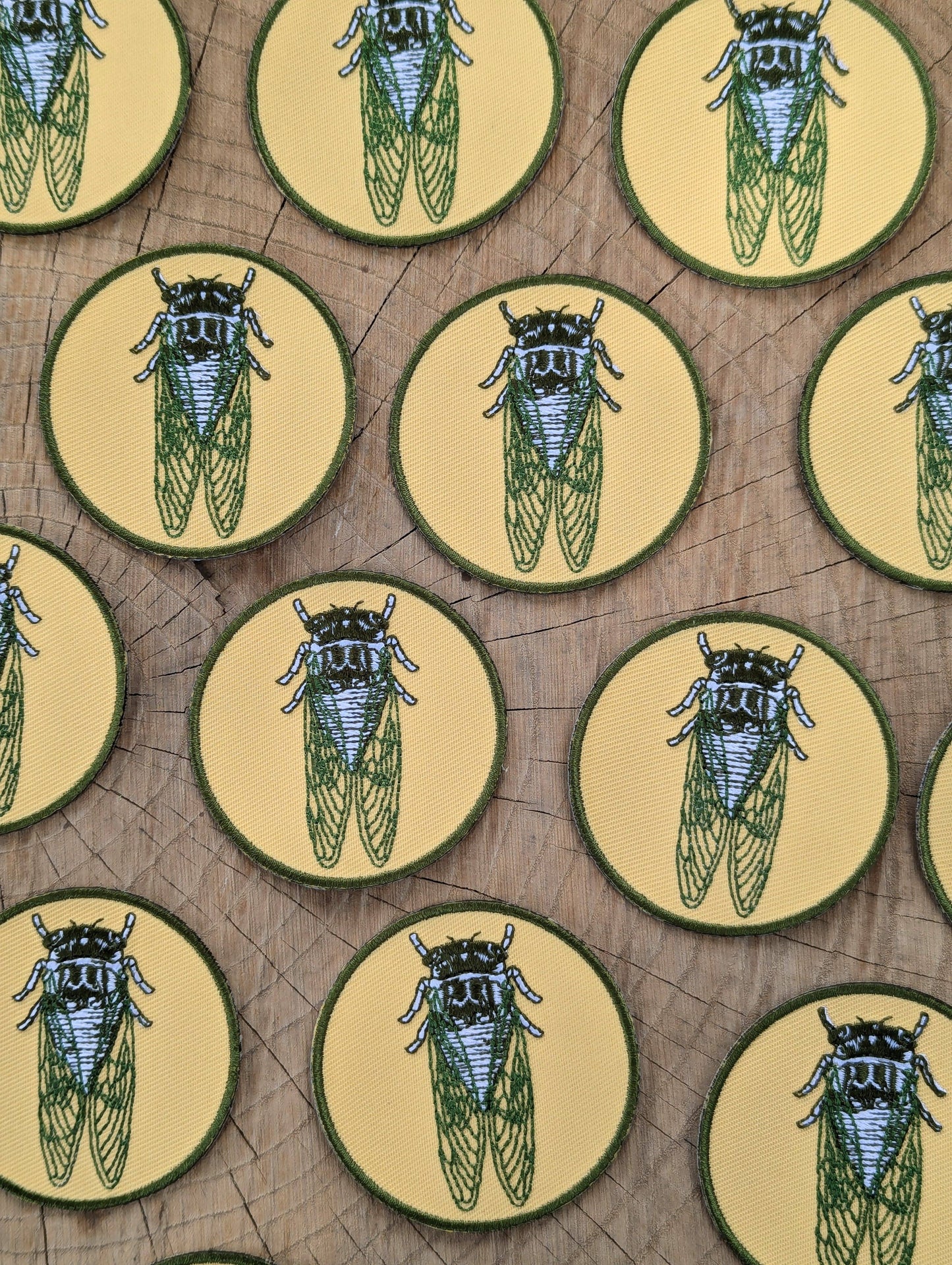 Cicada Patch