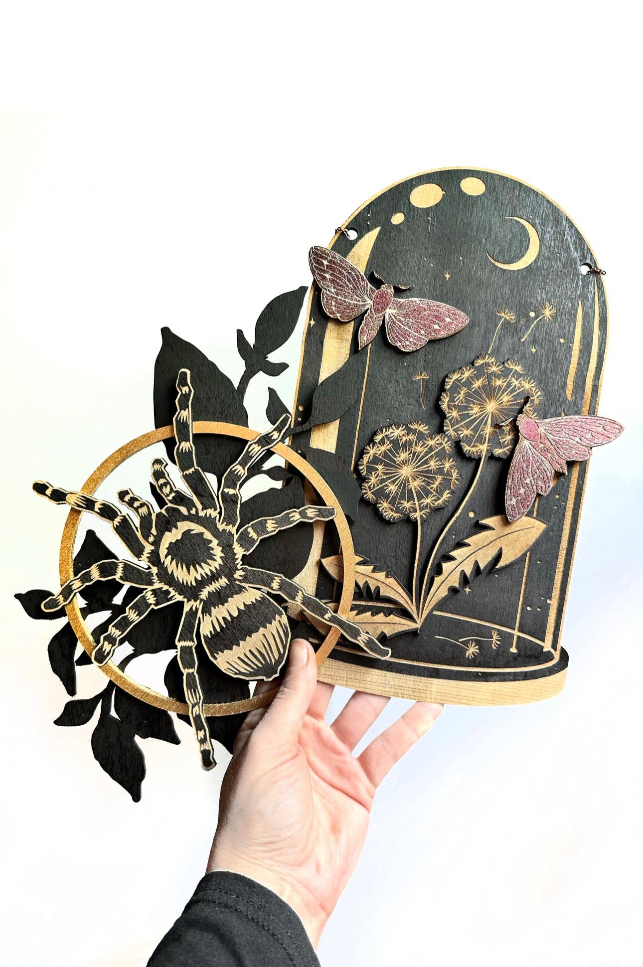 Dandelion Moth Curiosities Dome