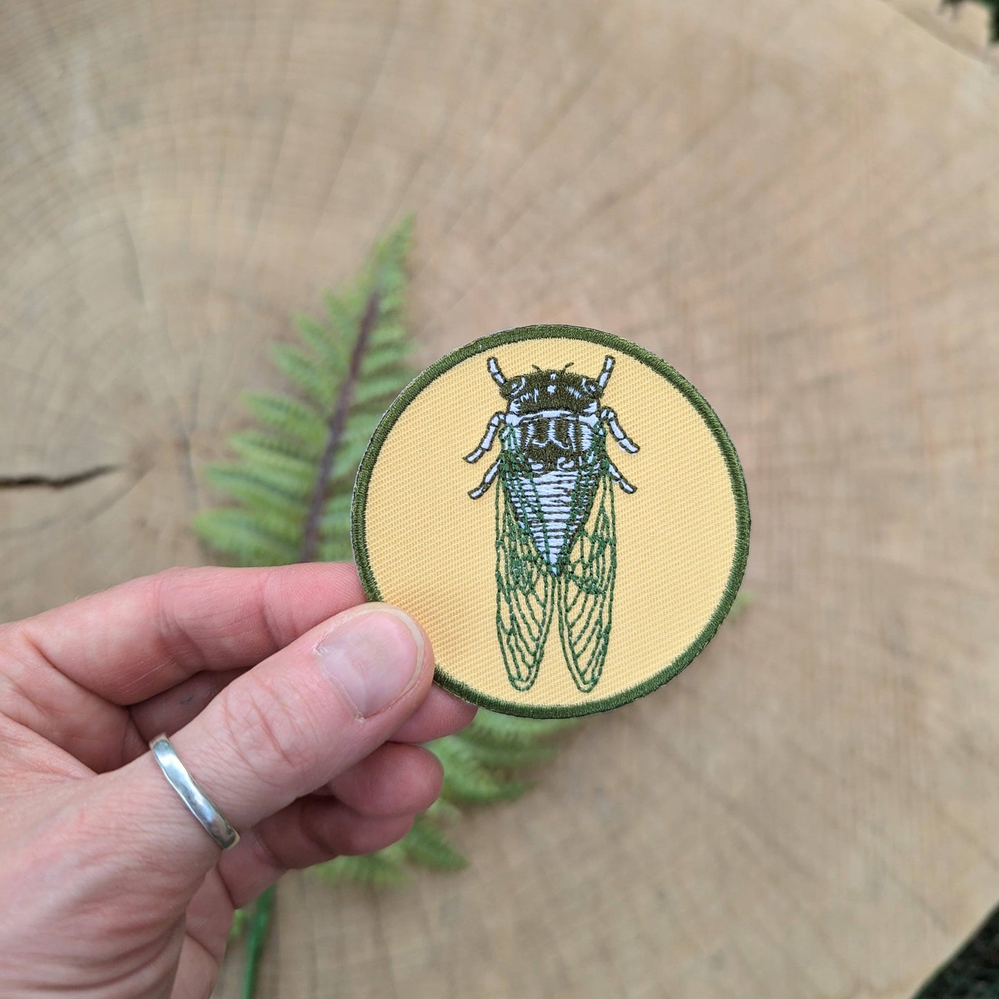 Cicada Patch