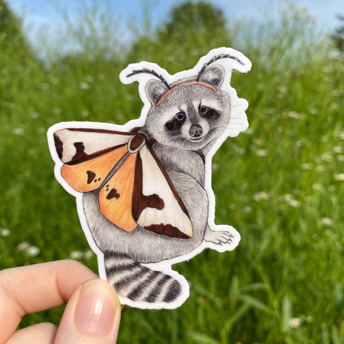 Clymene Moth Raccoon Sticker