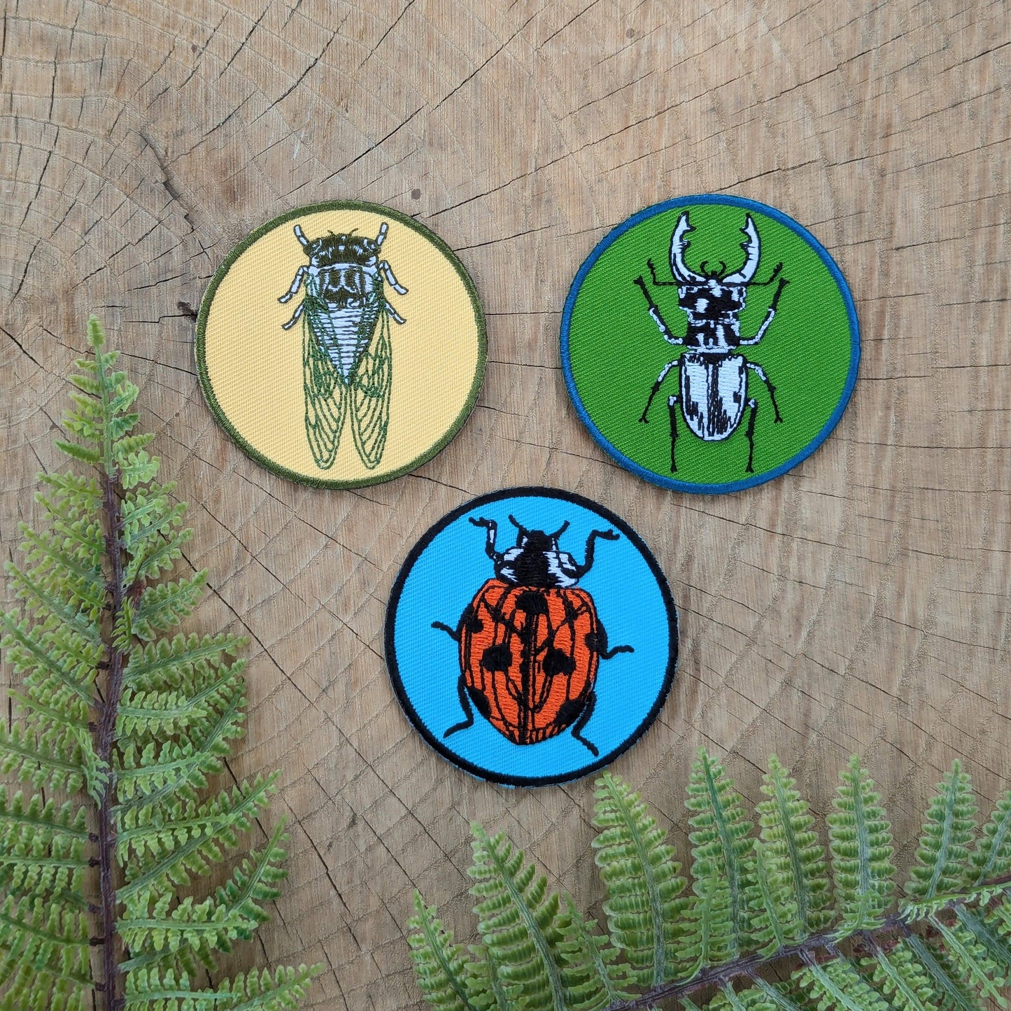 Cicada Patch
