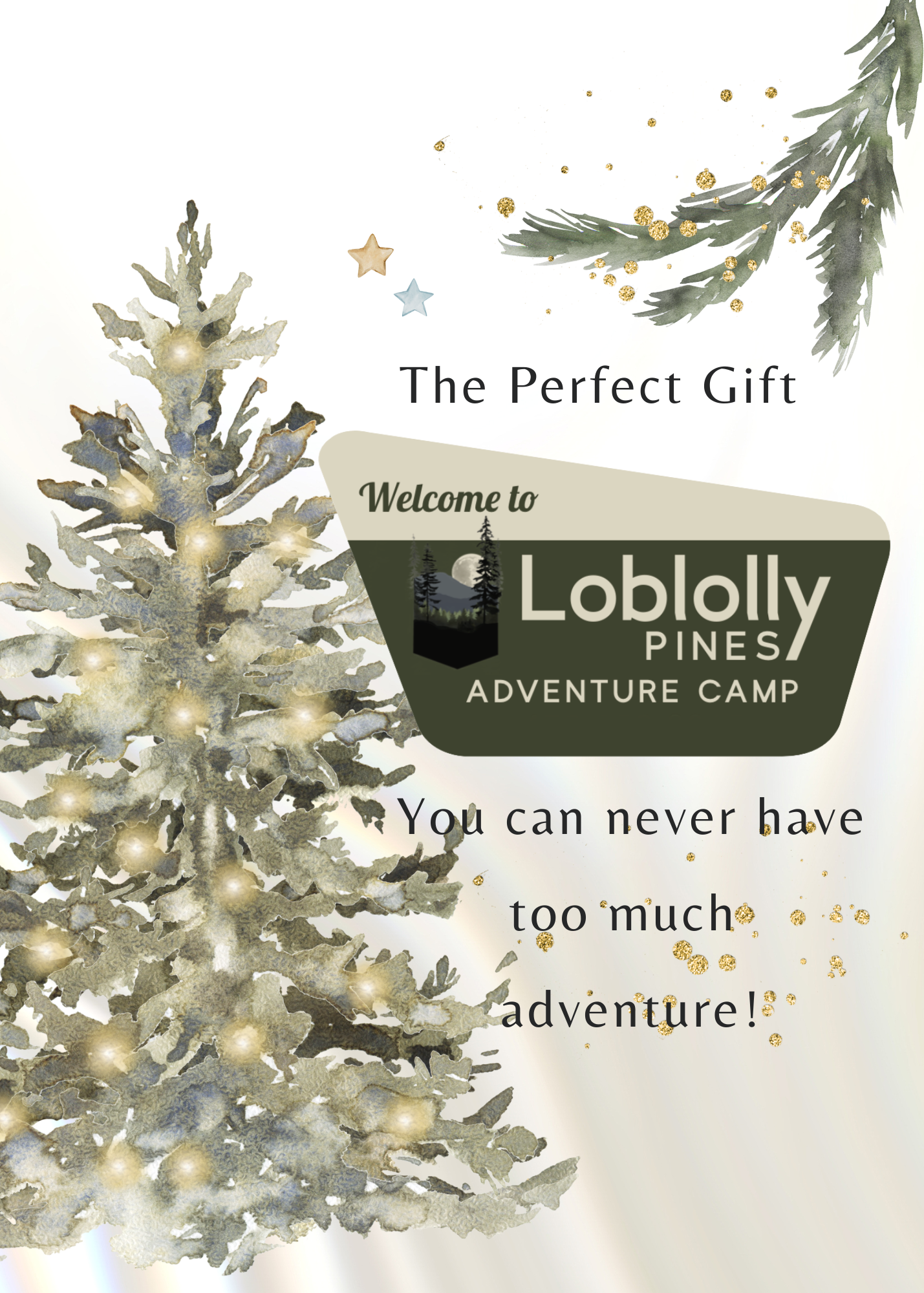 Loblolly Pines Adventure Camp Gift Certificate