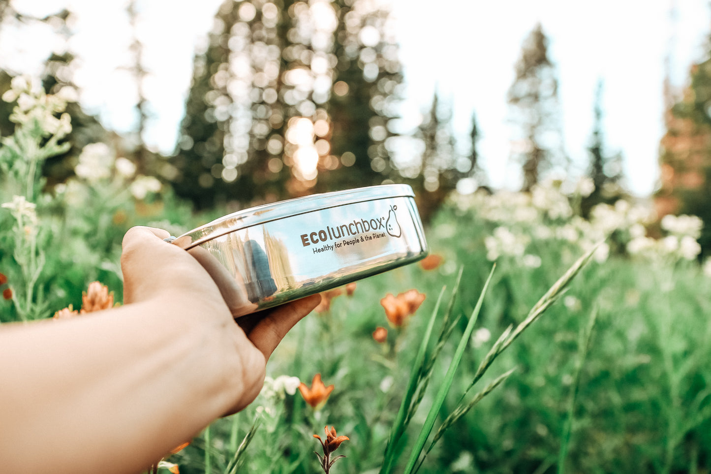 ECOlunchbox Three-in-One Classic Lunch Food Container