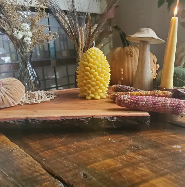 Pinecone Beeswax Candle