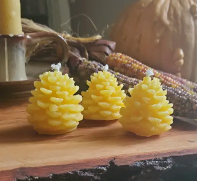 Pinecone Beeswax Candle