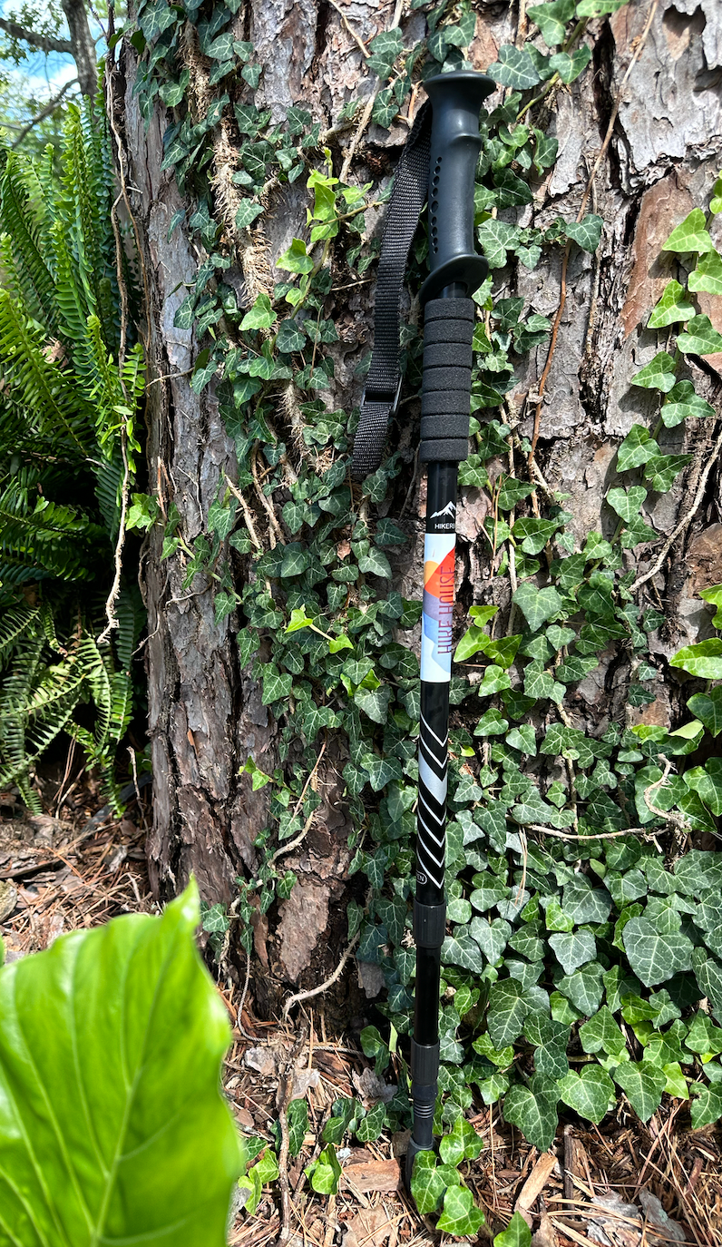 Hiking Stick