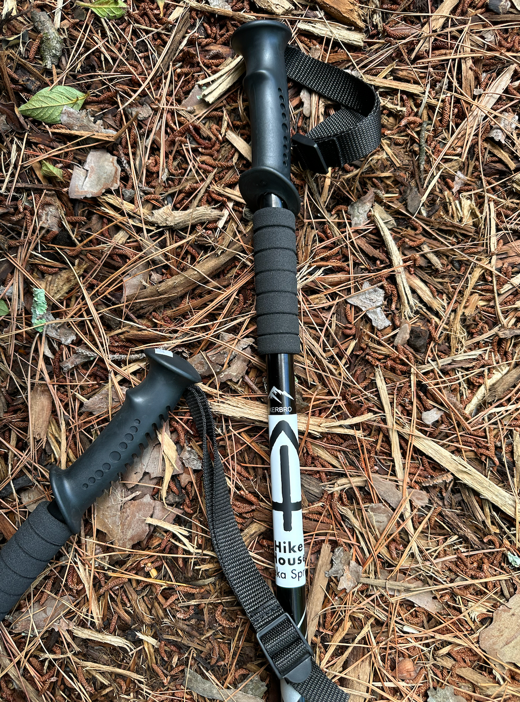 Hiking Stick
