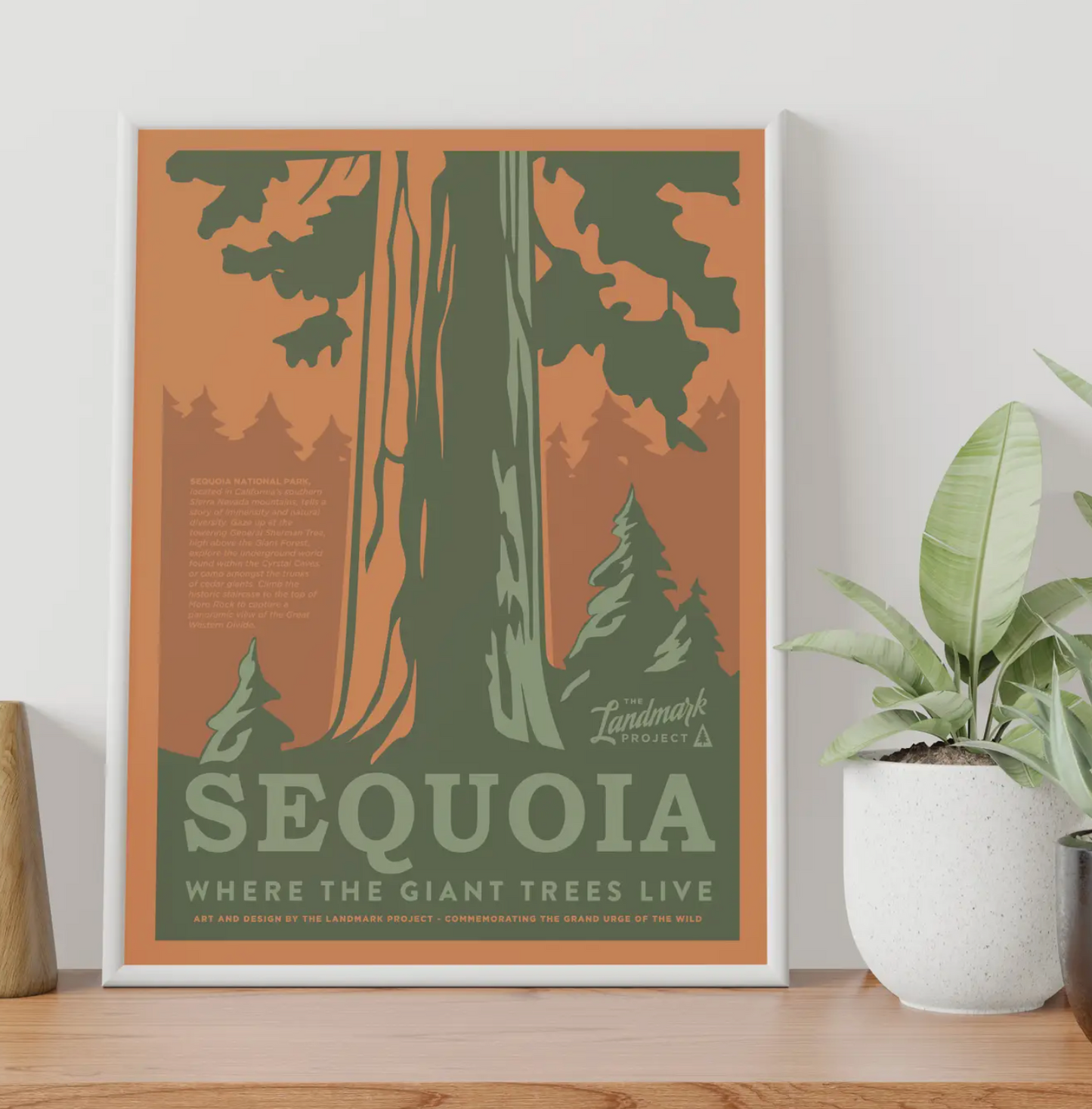 Sequoia National Park Poster