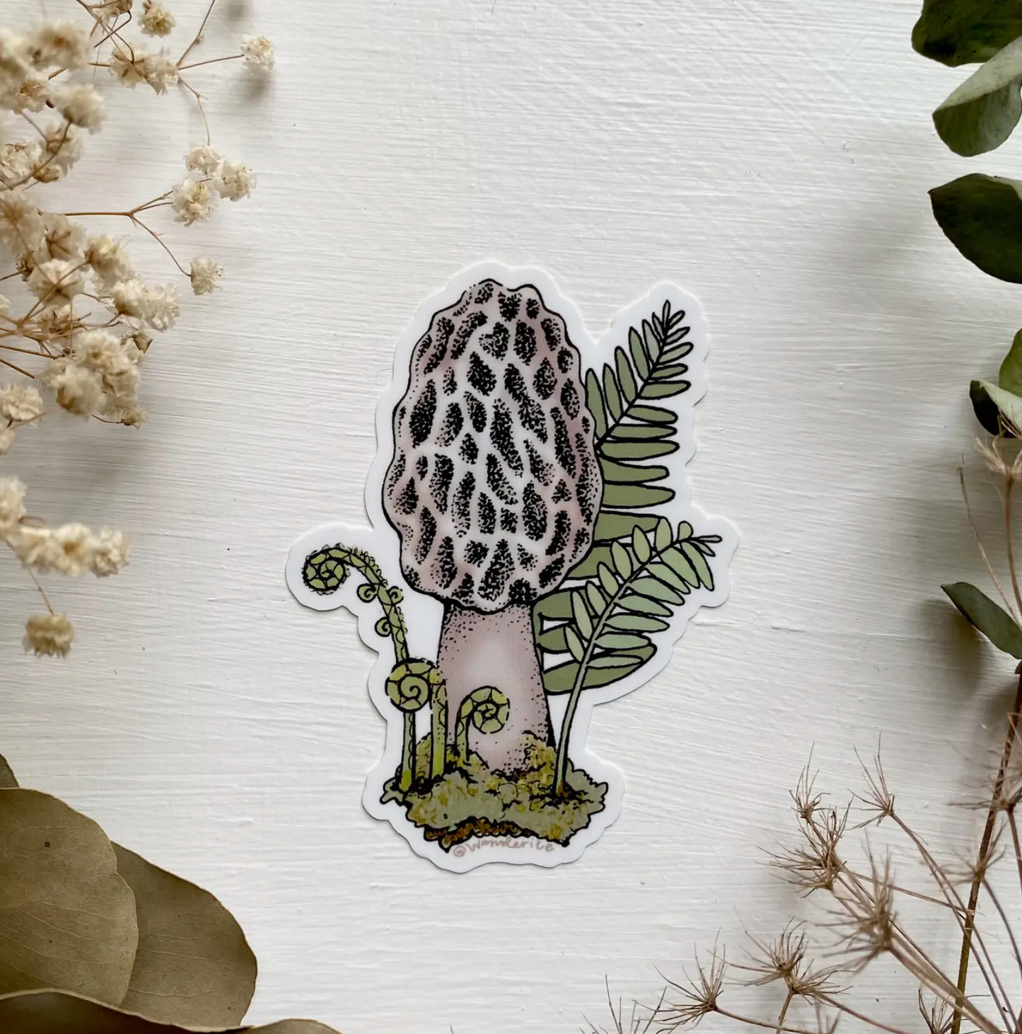 Morel Mushroom Sticker