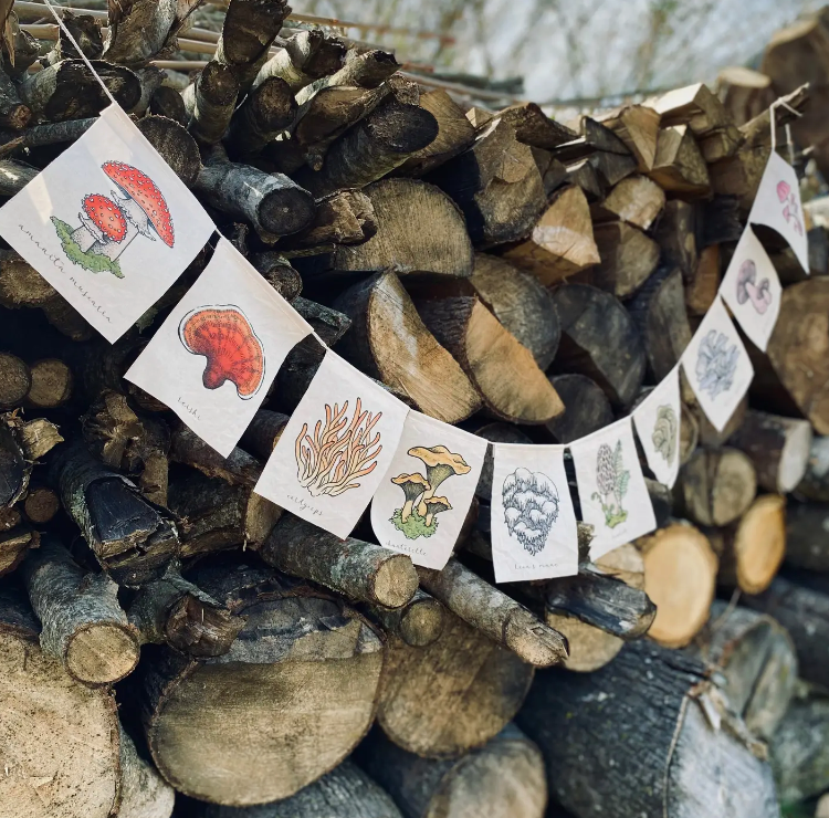 Rainbow Mushrooms Prayer Flag