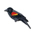Arkansas Native Bird Patch