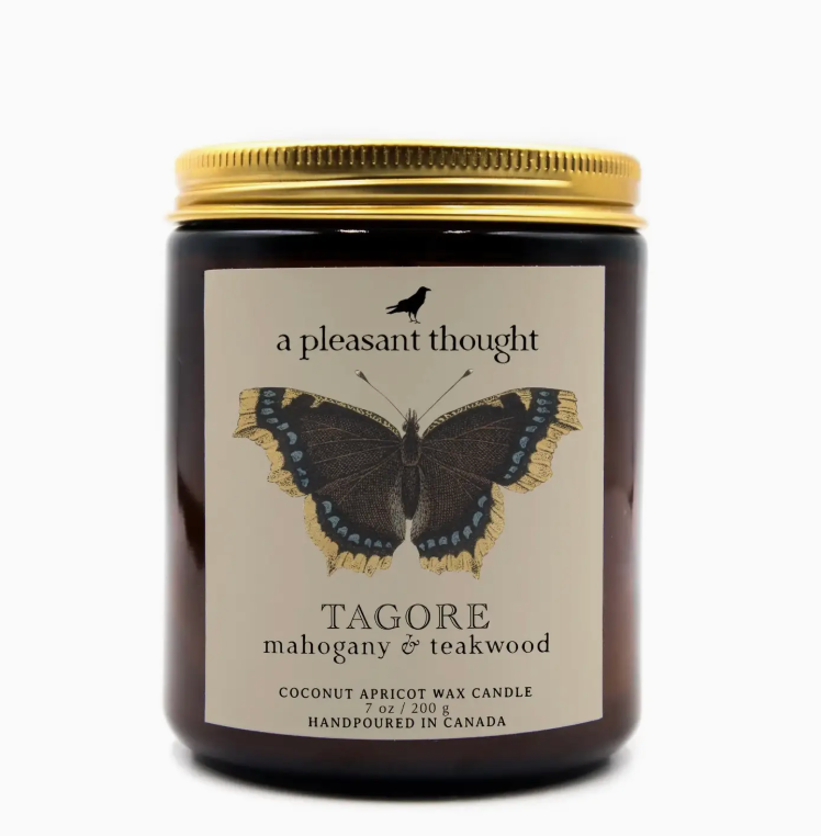Hand-Poured Coconut Apricot Wax Candle