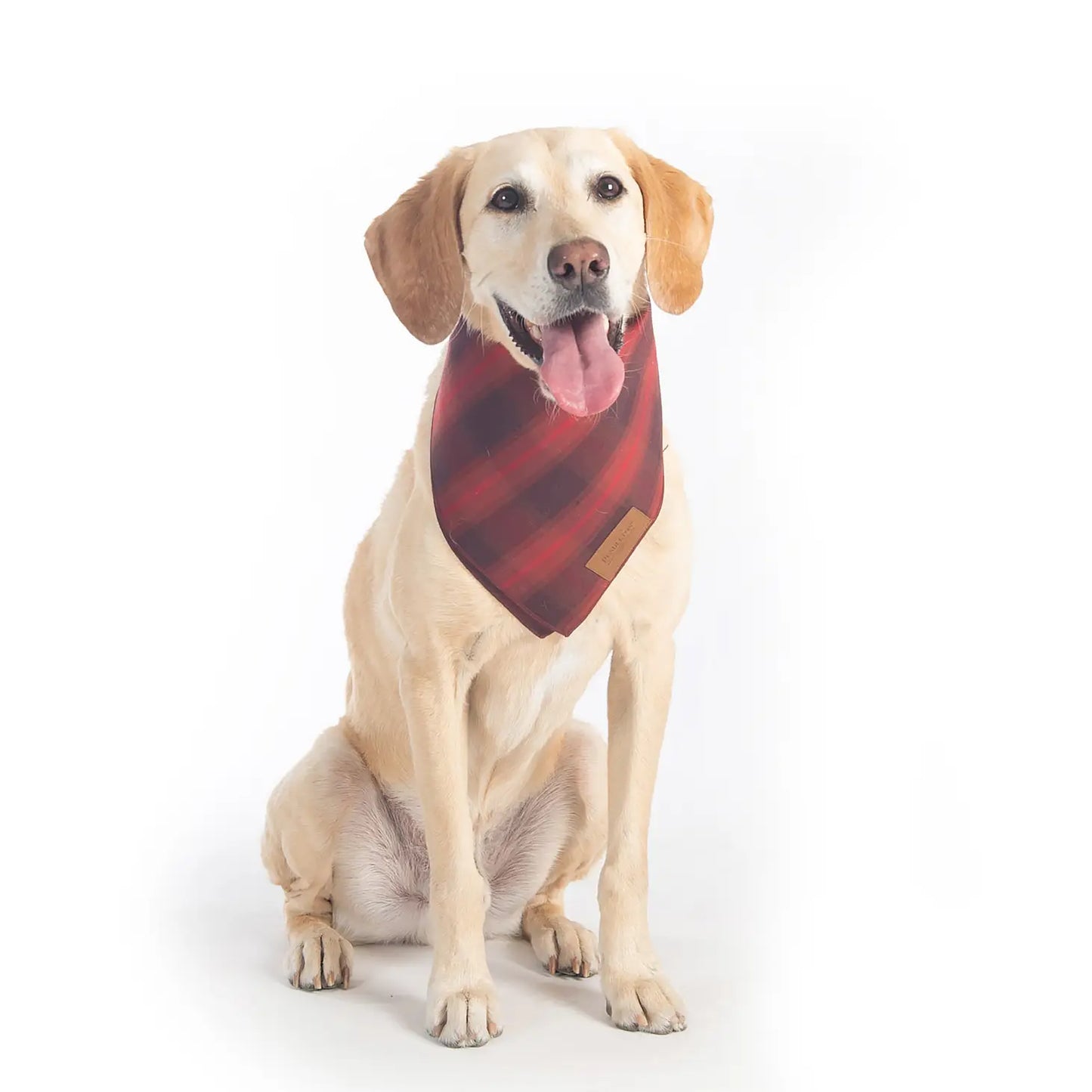 Pendleton Bandana Pet Set