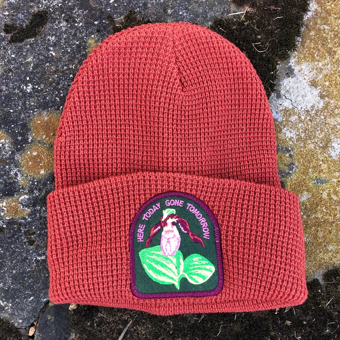 Arkansas Native Plant Beanie Hat