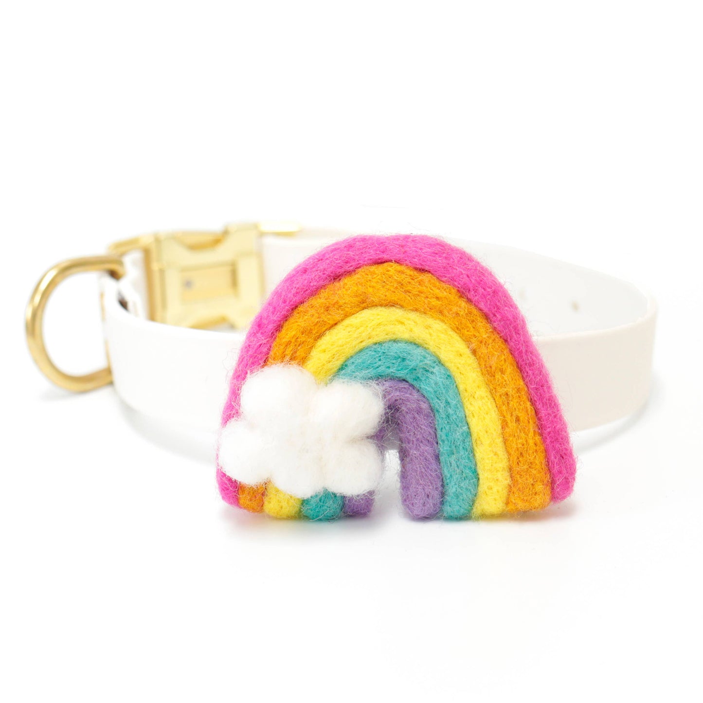 Rainbow Dog Collar Accessory