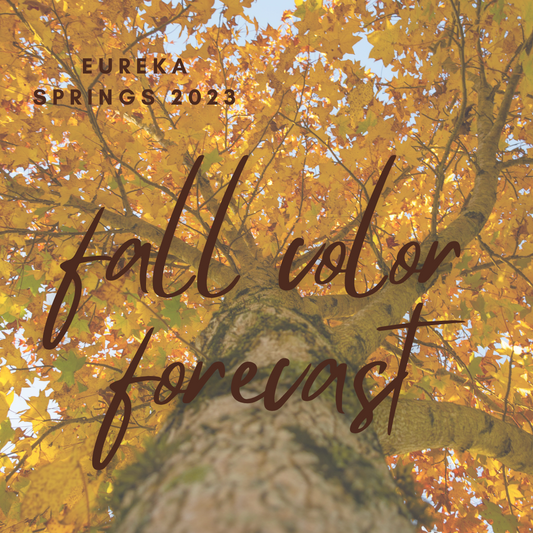 2023 Eureka Springs Fall Color Forecast
