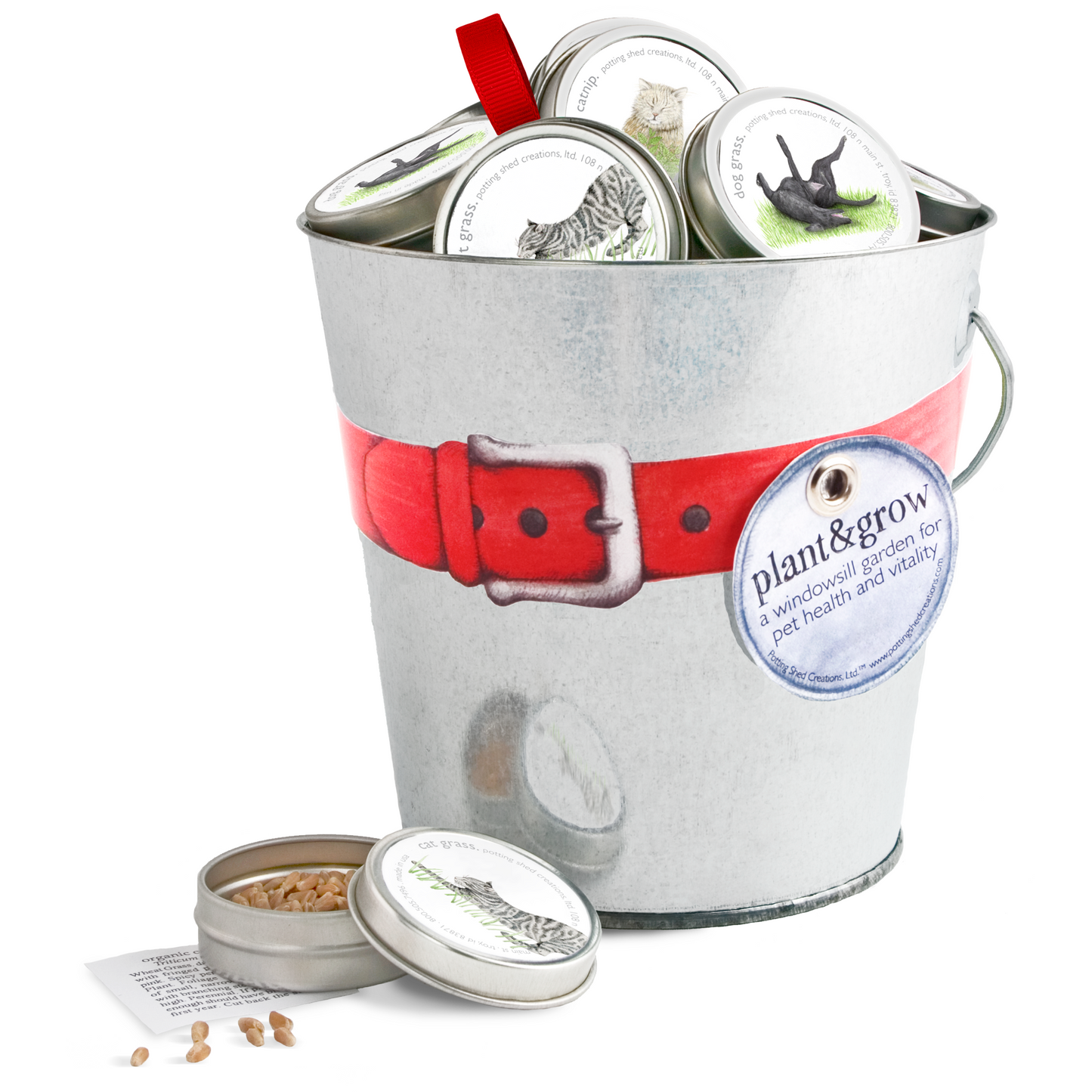 Pet Grass Ornaments | Catnip, Dog Grass & Cat Grass