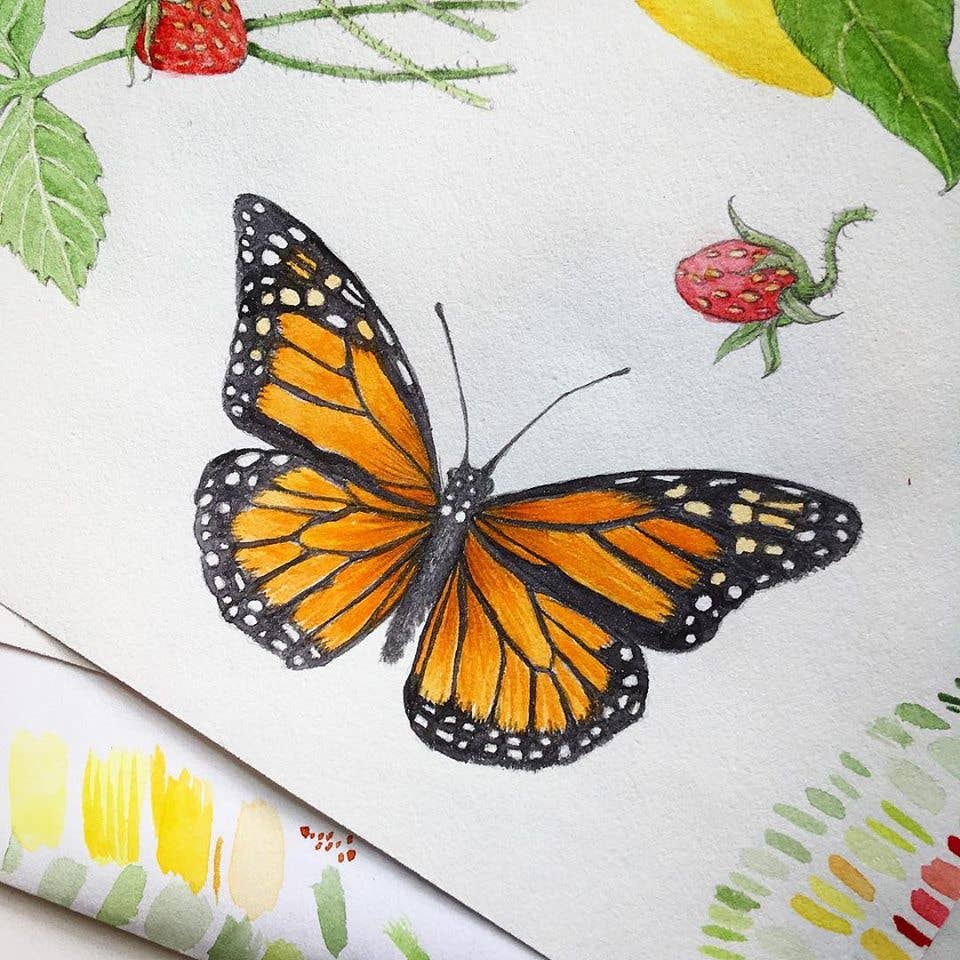 Butterfly Mix Garden Sprinkles - Small gifts of nature