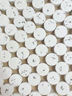 Shower Steamers - Peppermint Eucalyptus and Citrus Mint