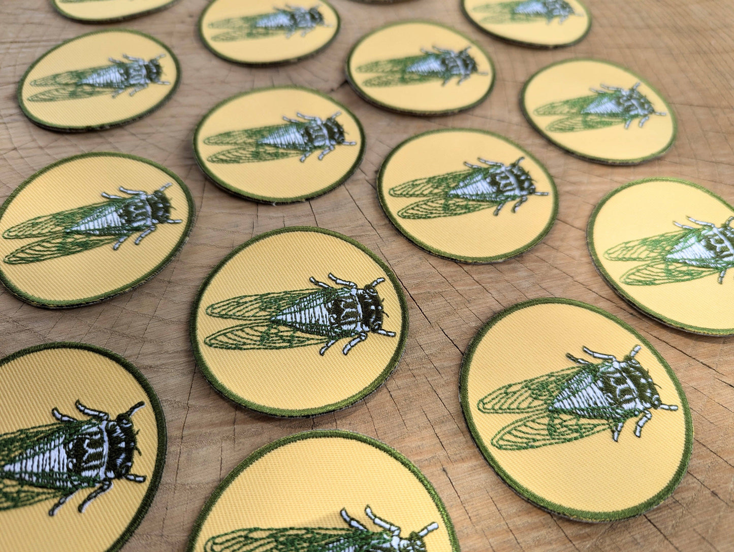 Cicada Patch