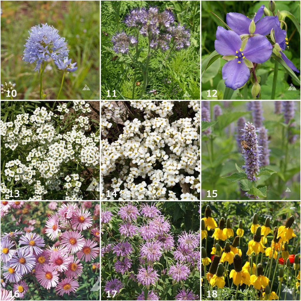 Honeybee and Pollinator Garden Sprinkles
