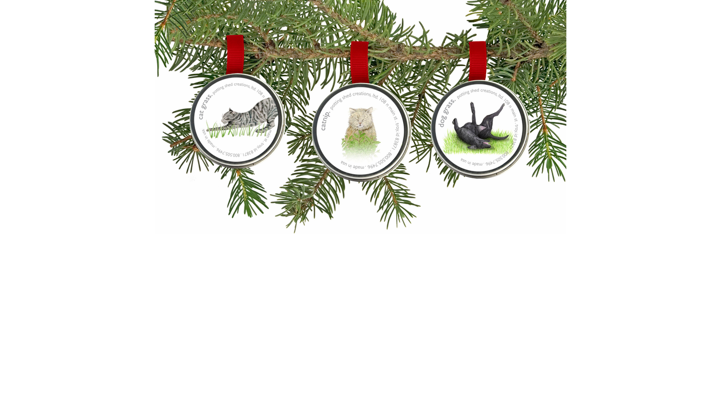 Pet Grass Ornaments | Catnip, Dog Grass & Cat Grass