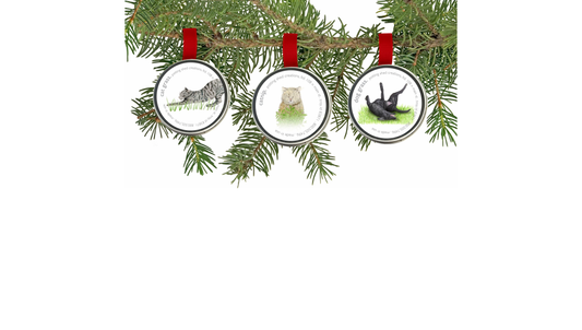 Pet Grass Ornaments | Catnip, Dog Grass & Cat Grass