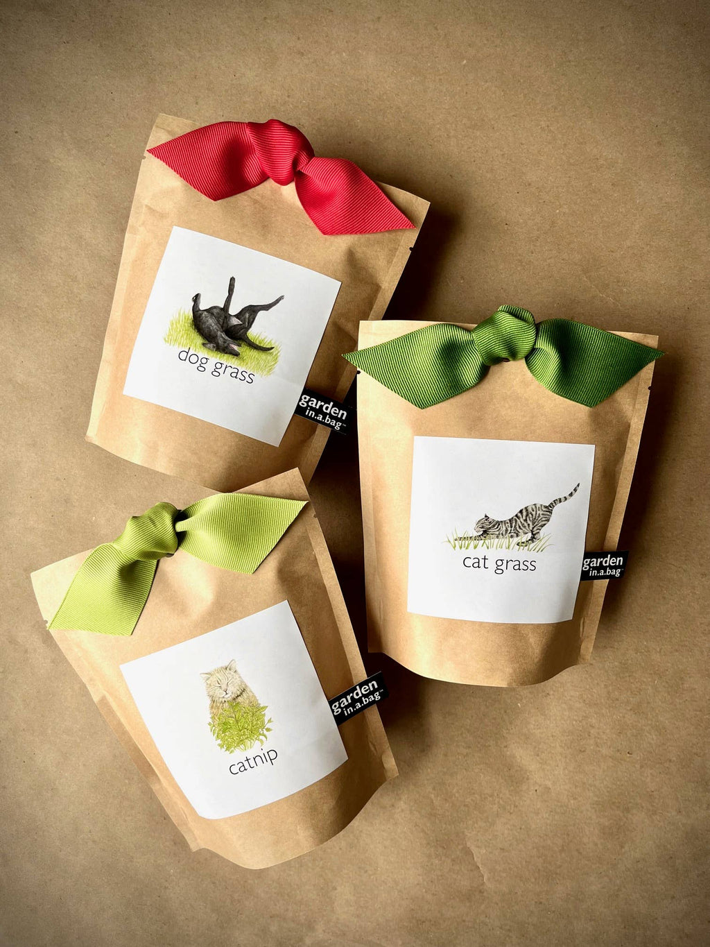Pet Grass Ornaments | Catnip, Dog Grass & Cat Grass