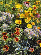 Honeybee and Pollinator Garden Sprinkles