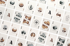National Parks Playing Cards