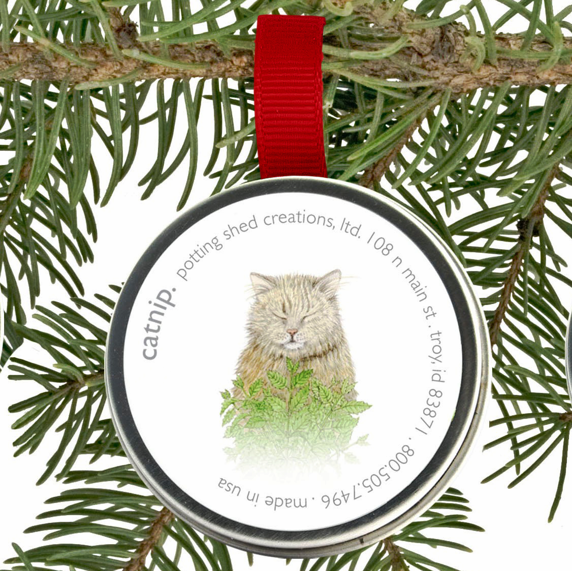 Pet Grass Ornaments | Catnip, Dog Grass & Cat Grass