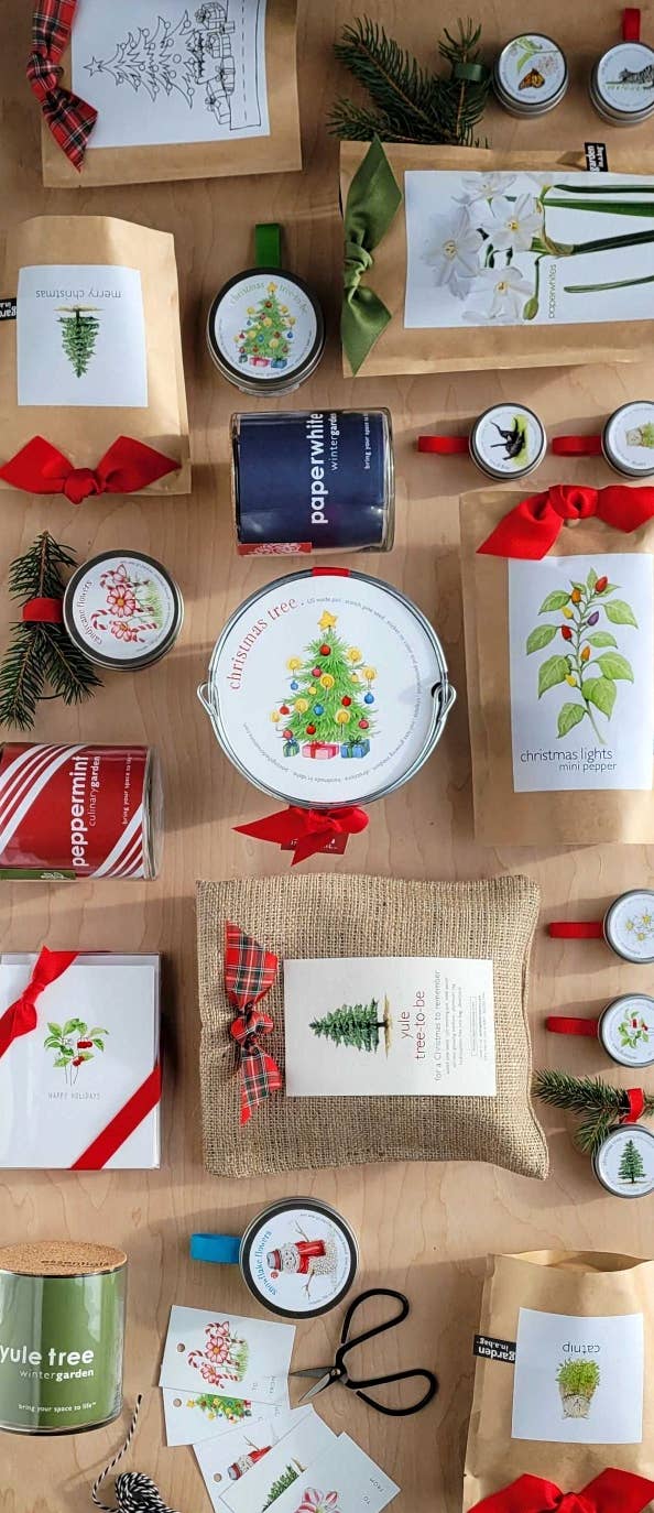 Christmas Tree to Be