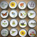 Butterfly Mix Garden Sprinkles - Small gifts of nature