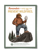 Vintage Style "Only You" Smoky the Bear Poster