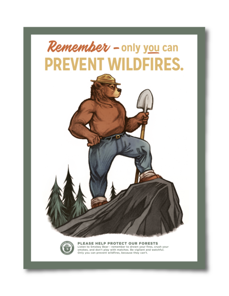 Vintage Style "Only You" Smoky the Bear Poster