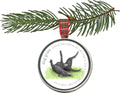 Pet Grass Ornaments | Catnip, Dog Grass & Cat Grass