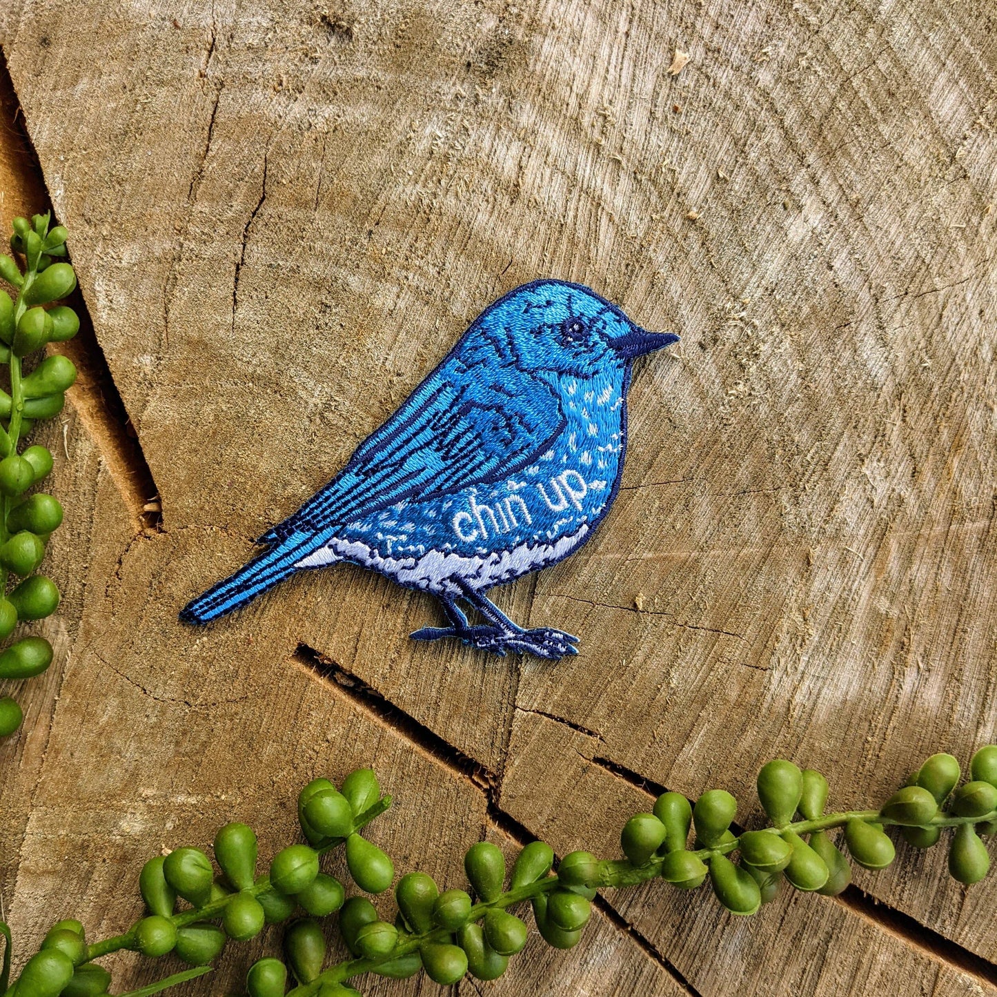 Chin Up Bluebird Patch