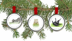 Pet Grass Ornaments | Catnip, Dog Grass & Cat Grass