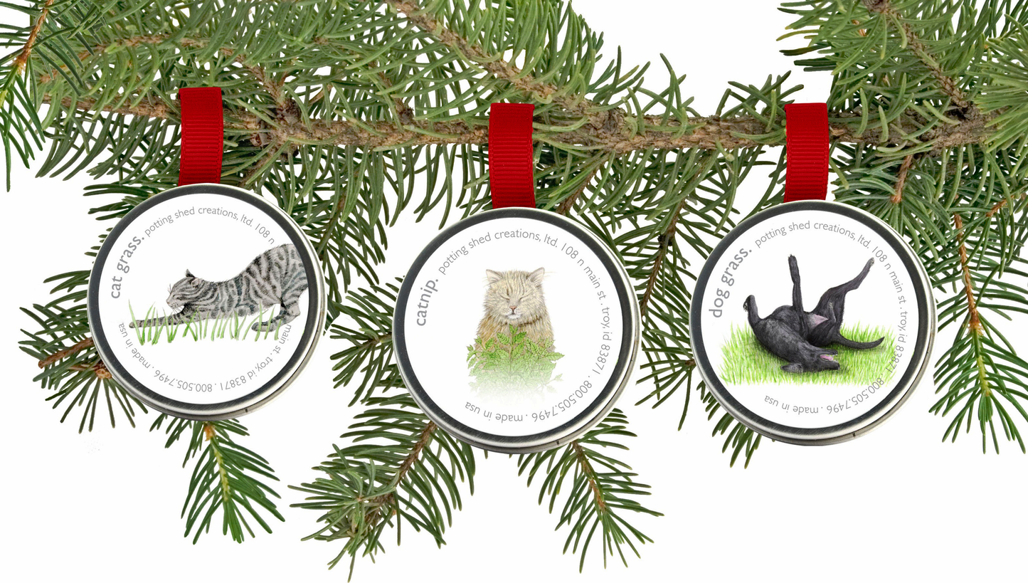Pet Grass Ornaments | Catnip, Dog Grass & Cat Grass