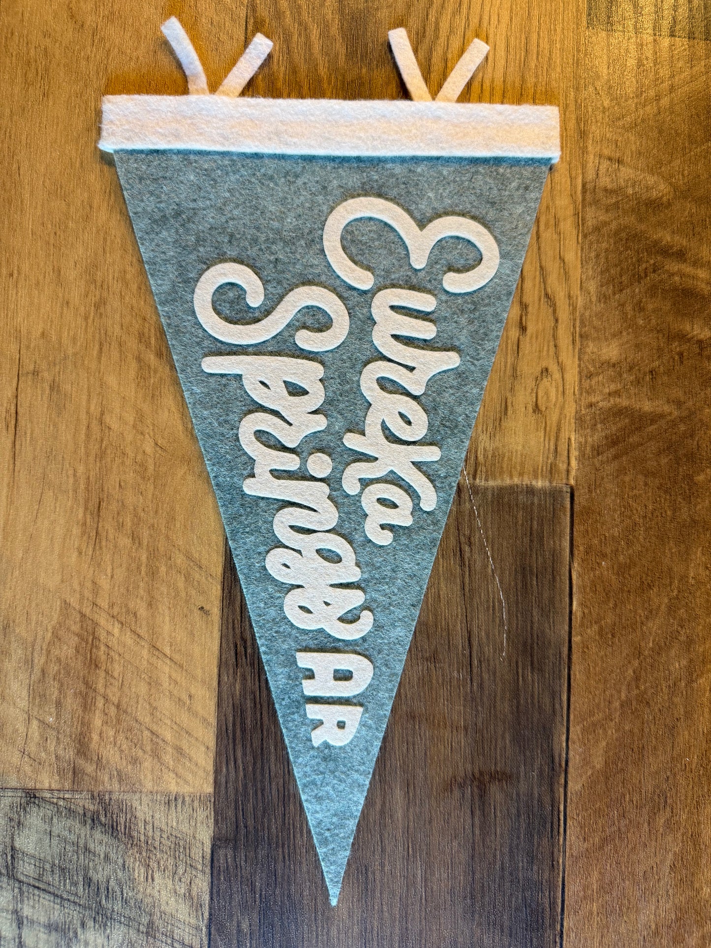 Eureka Springs, AR Vintage Style Pennant