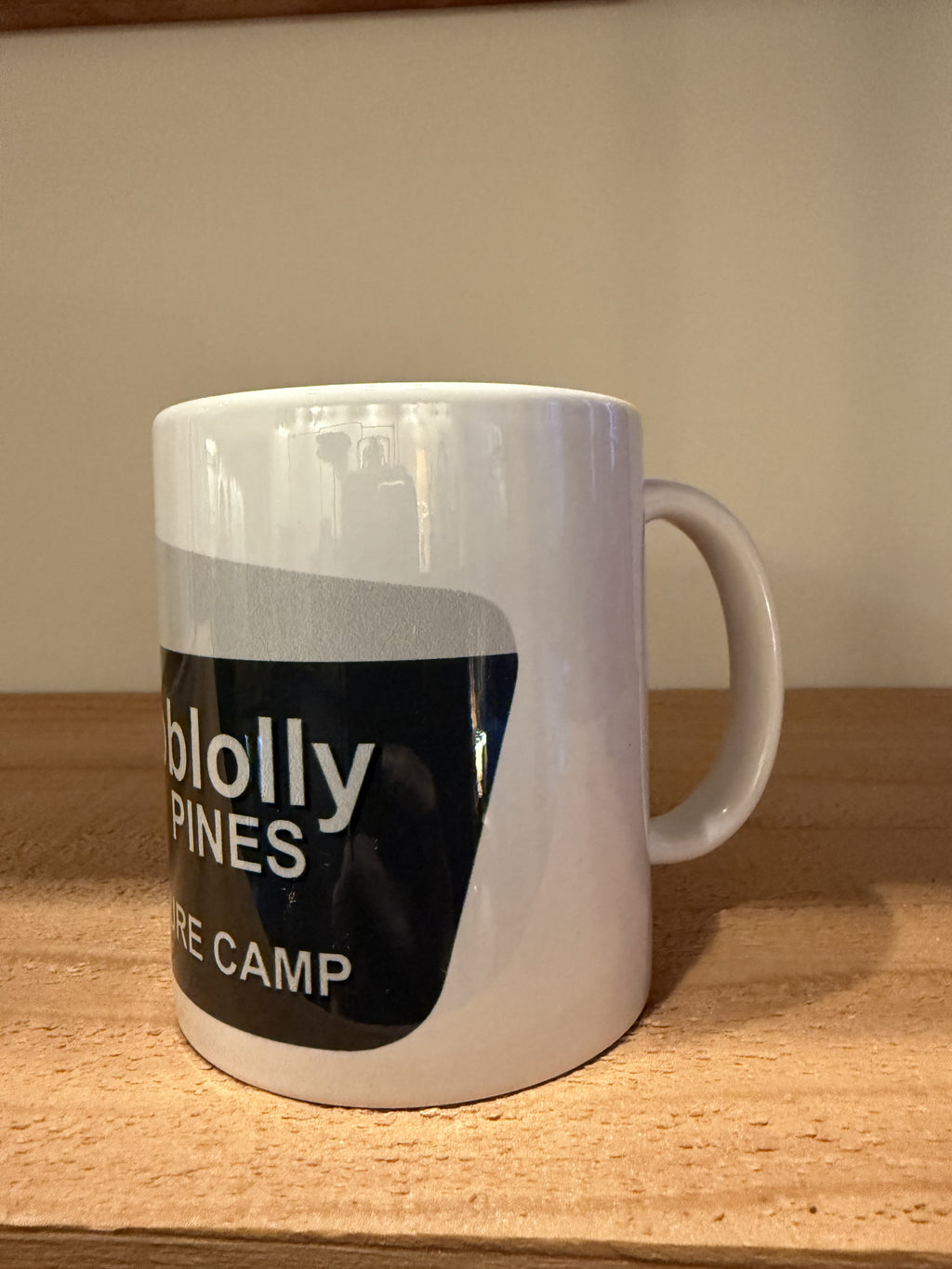 Signs of Adventure Mug