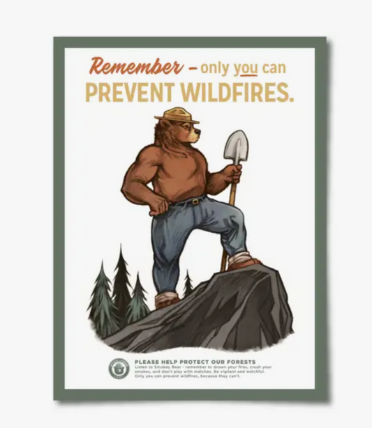 Only You Smokey the Bear Poster