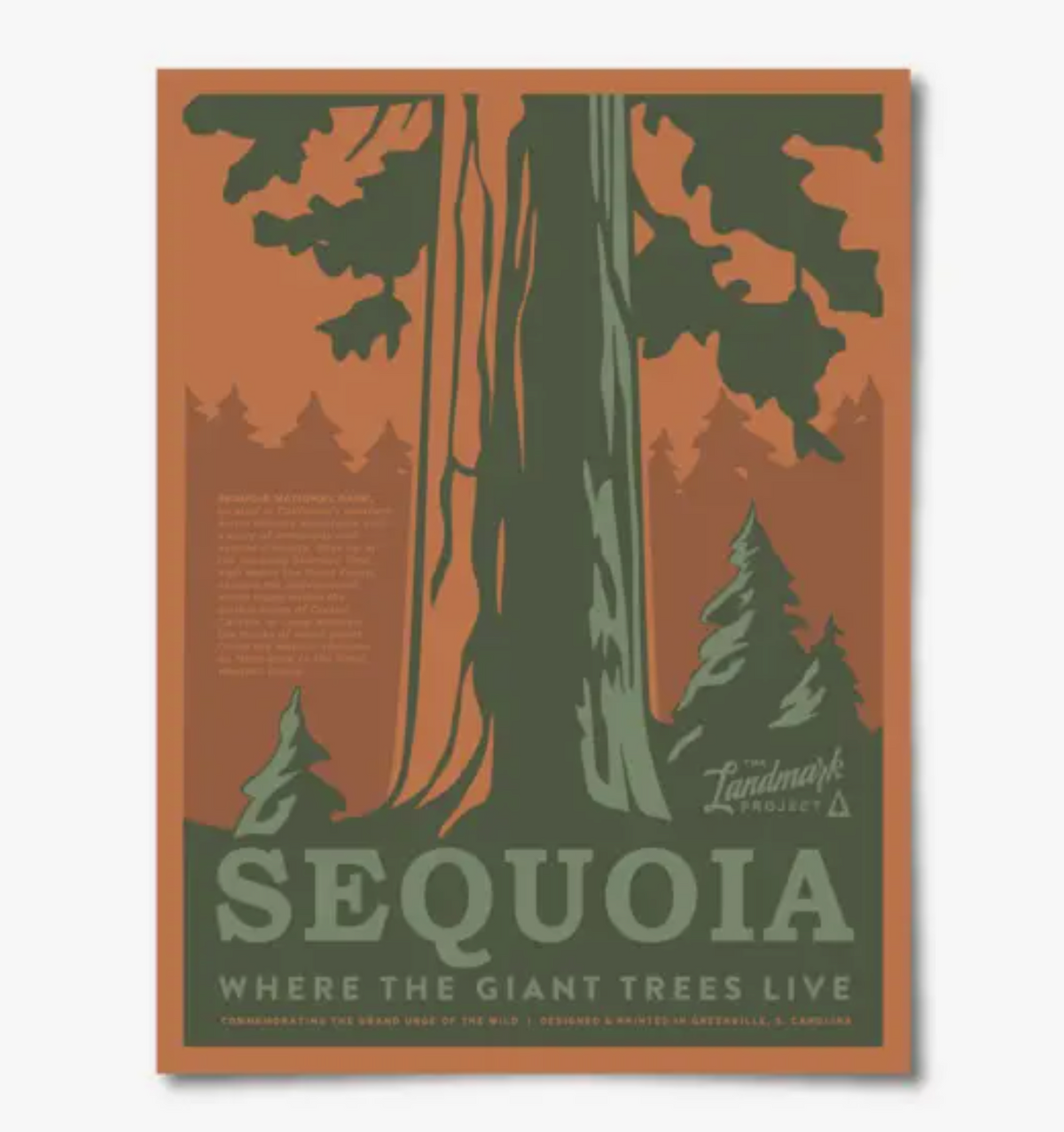 National Park Poster
