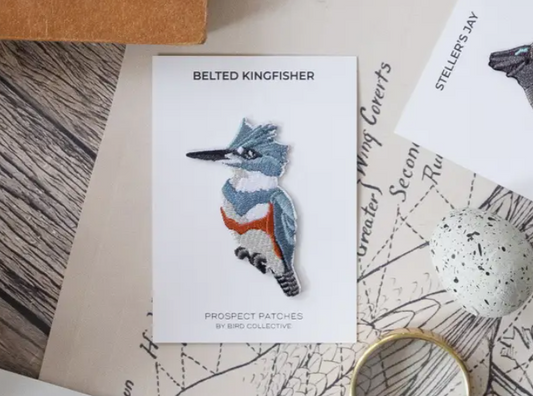 belted kingfisher bird of arkansas patch