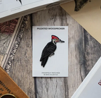 Arkansas Native Bird Patch