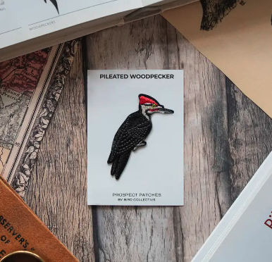 Arkansas Native Bird Patch