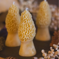 Morel Beeswax Candle
