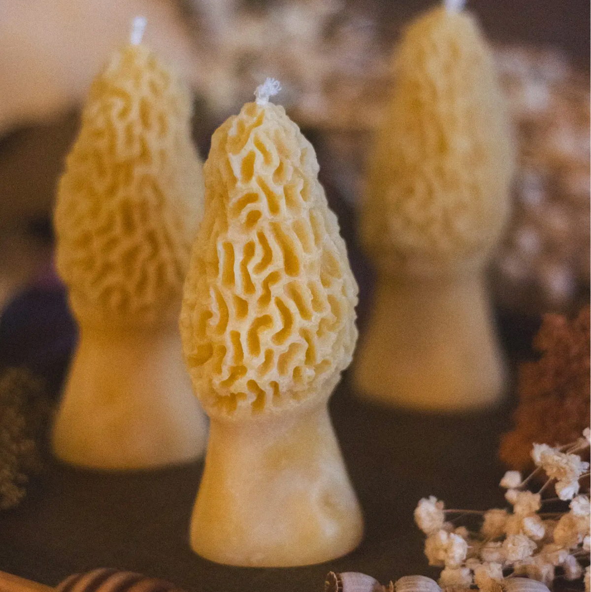 Morel Beeswax Candle