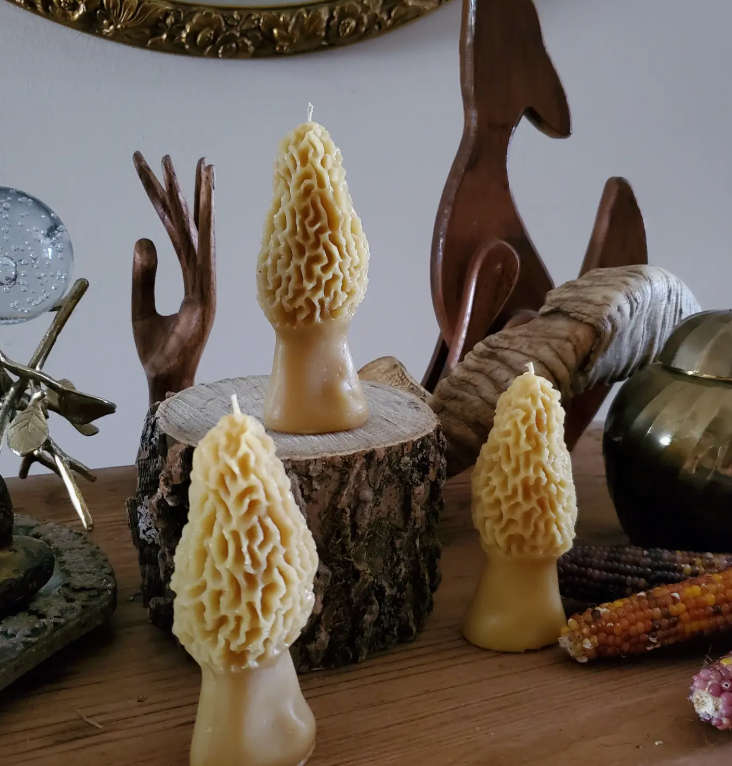 Morel Beeswax Candle