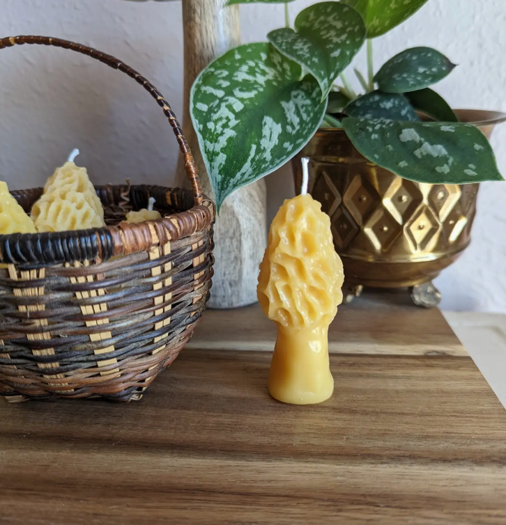 Morel Beeswax Candle